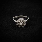1054 6062 Ring